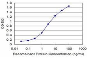 Detection limit for recombinant GST tagged HEY1 is approximately 0. (HEY1 anticorps  (AA 121-220))