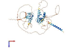 AlphaFold protein structure predicition of Mouse Recombinant Rnf180 Protein, UniprotID Q3U827