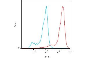 Flow cytometry analysis (surface staining) of FOLR2 transfectants (red) with anti-human FOLR2 (EM-35) PE, compared with blank (blue).