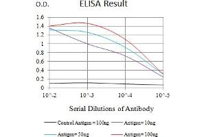 Black line: Control Antigen (100 ng),Purple line: Antigen (10 ng), Blue line: Antigen (50 ng), Red line:Antigen (100 ng) (ITGAL anticorps  (AA 26-194))