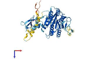 AlphaFold protein structure predicition of Human Recombinant GTF2H2 Protein, UniprotID Q13888