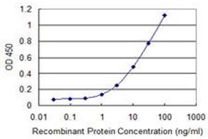 Detection limit for recombinant GST tagged TRIM72 is 0. (TRIM72 anticorps  (AA 378-477))