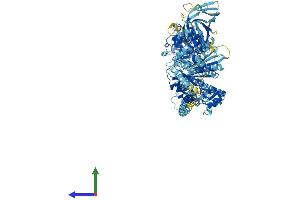 AlphaFold protein structure predicition of Mouse Recombinant Myo1a Protein, UniprotID O88329