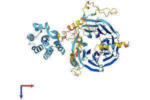 AlphaFold protein structure predicition of Mouse Recombinant Taf5l Protein, UniprotID Q91WQ5