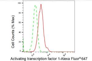 Flow cytometric analysis of Activating transcription factor 1 expression in HepG2 cells using Activating transcription factor 1 antibody (ABIN7797478), 1:2,000).