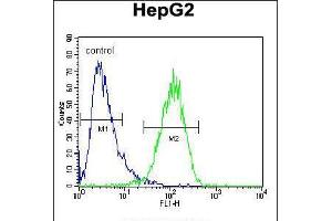 Flow cytometric analysis of HepG2 cells (right histogram) compared to a negative control cell (left histogram).