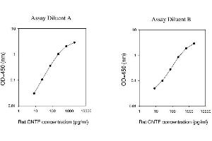 ELISA image for Ciliary Neurotrophic Factor (CNTF) ELISA Kit (ABIN625191) (CNTF Kit ELISA)