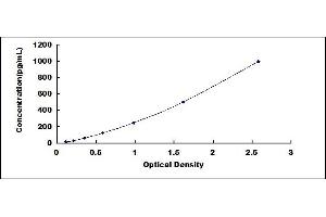 Typical standard curve (CXCL10 Kit ELISA)
