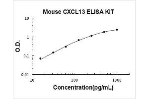 Chemokine (C-X-C Motif) Ligand 13 (CXCL13) ELISA Kit