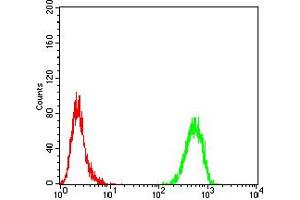 Flow Cytometry (FACS) image for anti-TH (AA 44-208) antibody (ABIN5858376) (TH anticorps  (AA 44-208))
