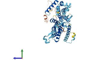AlphaFold protein structure predicition of Mouse Recombinant Cds2 Protein, UniprotID Q99L43