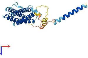 AlphaFold protein structure predicition of Human Recombinant RGS9BP Protein, UniprotID Q6ZS82