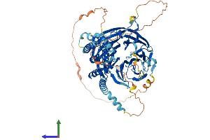 AlphaFold protein structure predicition of Human Recombinant KATNB1 Protein, UniprotID Q9BVA0