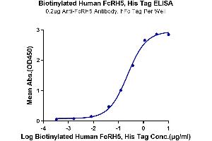 Immobilized Anti-FcRH5 Antibody at 2 μg/mL (100 μL/well) on the plate.