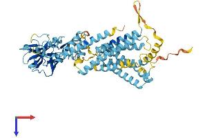 AlphaFold protein structure predicition of Mouse Recombinant Clptm1l Protein, UniprotID Q8BXA5