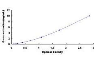 Toll-Like Receptor 7 (TLR7) ELISA Kit