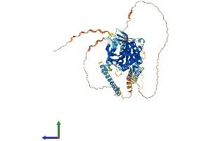 AlphaFold protein structure predicition of Human Recombinant KIF2B Protein, UniprotID Q8N4N8