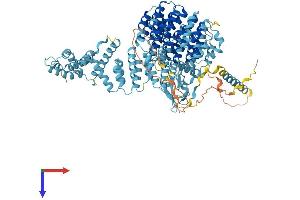 AlphaFold protein structure predicition of Human Recombinant PSMD1 Protein, UniprotID Q99460