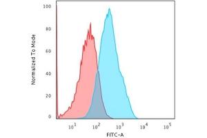 Flow Cytometric Analysis of MCF-7 cells using Cadherin 17 / CDH17 Mouse Monoclonal Antibody (CDH17/2618) followed by Goat anti-Mouse IgG-CF488 (Blue); Isotype Control (Red).