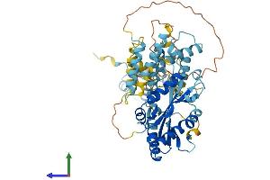 AlphaFold protein structure predicition of Mouse Recombinant Tigd2 Protein, UniprotID Q0VBL1