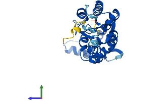 AlphaFold protein structure predicition of Mouse Recombinant Iah1 Protein, UniprotID Q9DB29