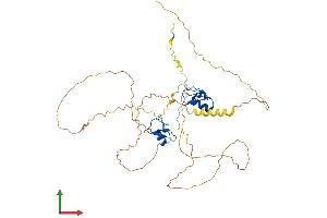 AlphaFold protein structure predicition of Mouse Recombinant Gata1 Protein, UniprotID P17679