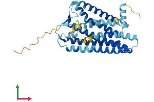 AlphaFold protein structure predicition of Human Recombinant OR3A2 Protein, UniprotID P47893