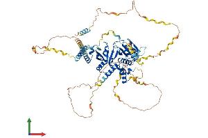 AlphaFold protein structure predicition of Mouse Recombinant Apbb1ip Protein, UniprotID Q8R5A3