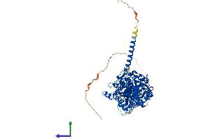 AlphaFold protein structure predicition of Human Recombinant MTMR2 Protein, UniprotID Q13614