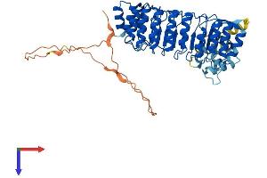 AlphaFold protein structure predicition of Human Recombinant LRRC74A Protein, UniprotID Q0VAA2