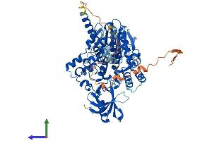 AlphaFold protein structure predicition of Human Recombinant MTMR6 Protein, UniprotID Q9Y217