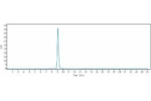 anti-Immunoglobulin Superfamily Containing Leucine Rich Repeat Protein (ISLR) antibody
