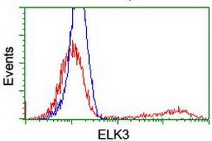 HEK293T cells transfected with either RC203114 overexpress plasmid (Red) or empty vector control plasmid (Blue) were immunostained by anti-ELK3 antibody (ABIN2455035), and then analyzed by flow cytometry. (ELK3 anticorps)