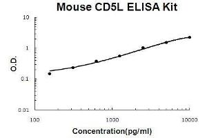 Mouse CD5L PicoKine ELISA Kit standard curve