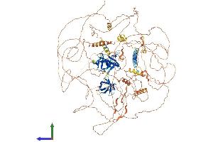 AlphaFold protein structure predicition of Mouse Recombinant Sorbs1 Protein, UniprotID Q62417