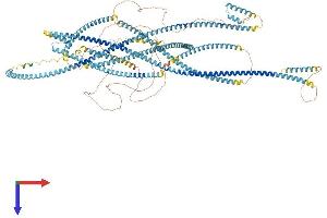 AlphaFold protein structure predicition of Mouse Recombinant Ktn1 Protein, UniprotID Q61595