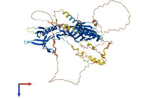 AlphaFold protein structure predicition of Mouse Recombinant Rtkn2 Protein, UniprotID Q14B46