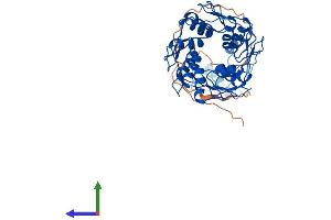AlphaFold protein structure predicition of Human Recombinant ZFP2 Protein, UniprotID Q6ZN57