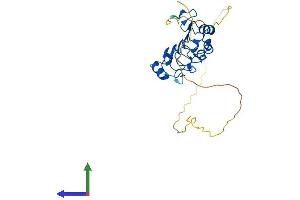 AlphaFold protein structure predicition of Human Recombinant ANP32E Protein, UniprotID Q9BTT0