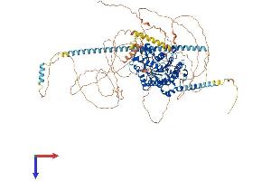 AlphaFold protein structure predicition of Mouse Recombinant Hdac5 Protein, UniprotID Q9Z2V6