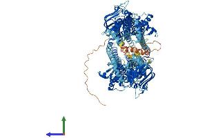 AlphaFold protein structure predicition of Mouse Recombinant Abcb1b Protein, UniprotID P06795