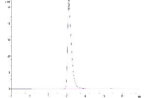 The purity of Human CD155 is greater than 95 % as determined by SEC-HPLC. (Poliovirus Receptor Protein (PVR) (AA 21-343) (Fc Tag))