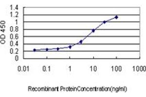 Detection limit for recombinant GST tagged KLF11 is approximately 0.