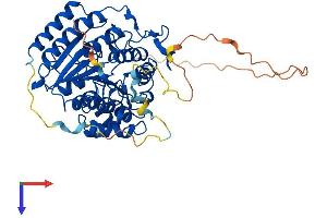 AlphaFold protein structure predicition of Human Recombinant HDAC1 Protein, UniprotID Q13547