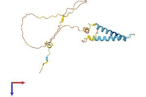 AlphaFold protein structure predicition of Mouse Recombinant Tmem134 Protein, UniprotID Q8R0J4