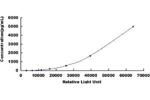 ELISA image for Secreted phosphoprotein 1 (SPP1) CLIA Kit (ABIN492192)