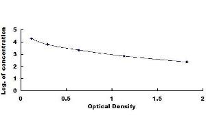 Typical standard curve (PINP Kit ELISA)