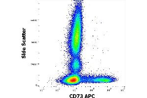 Flow cytometry surface staining pattern of human peripheral whole blood stained using anti-human CD73 (AD2) APC antibody (10 μL reagent / 100 μL of peripheral whole blood). (CD73 anticorps  (APC))
