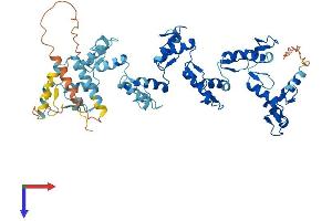 AlphaFold protein structure predicition of Human Recombinant ZNF564 Protein, UniprotID Q8TBZ8