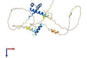 AlphaFold protein structure predicition of Human Recombinant SHOX Protein, UniprotID O15266
